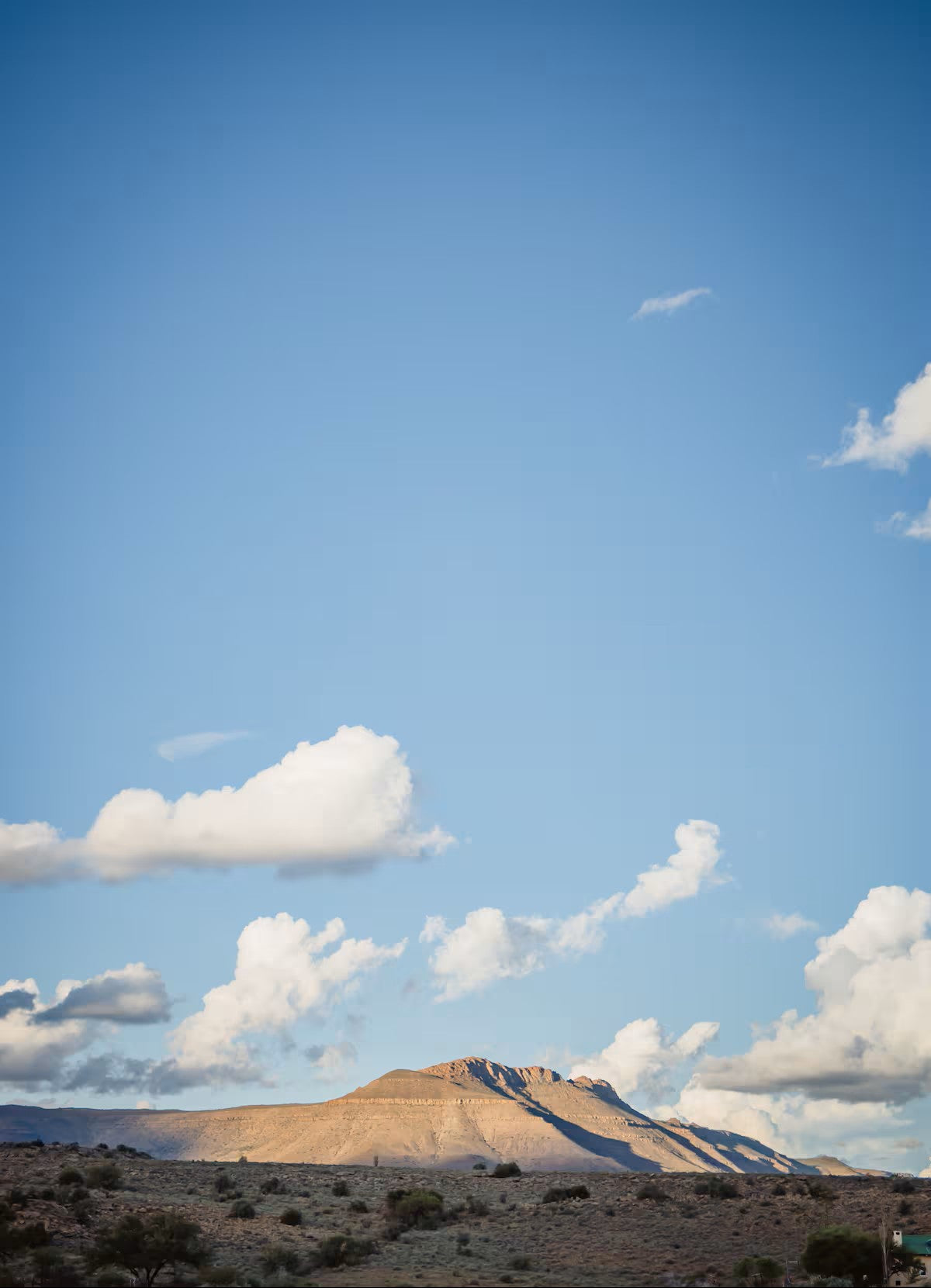 Tamboershoek Karoo Farm Stay near Beaufort West
