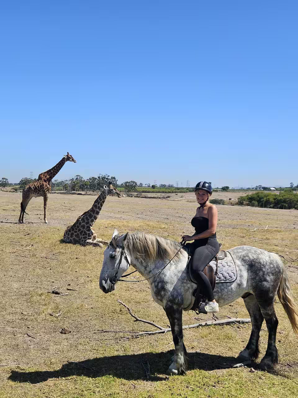 Explore a wildlife reserve on horseback - 2 hours