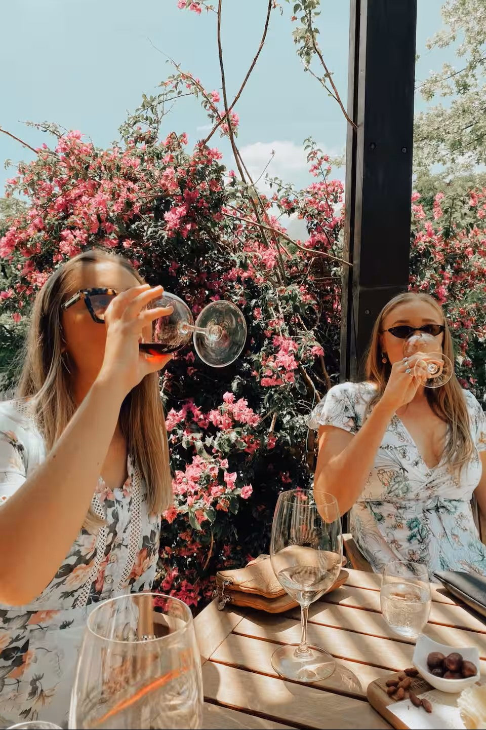 Experience the Stellenbosch Winelands