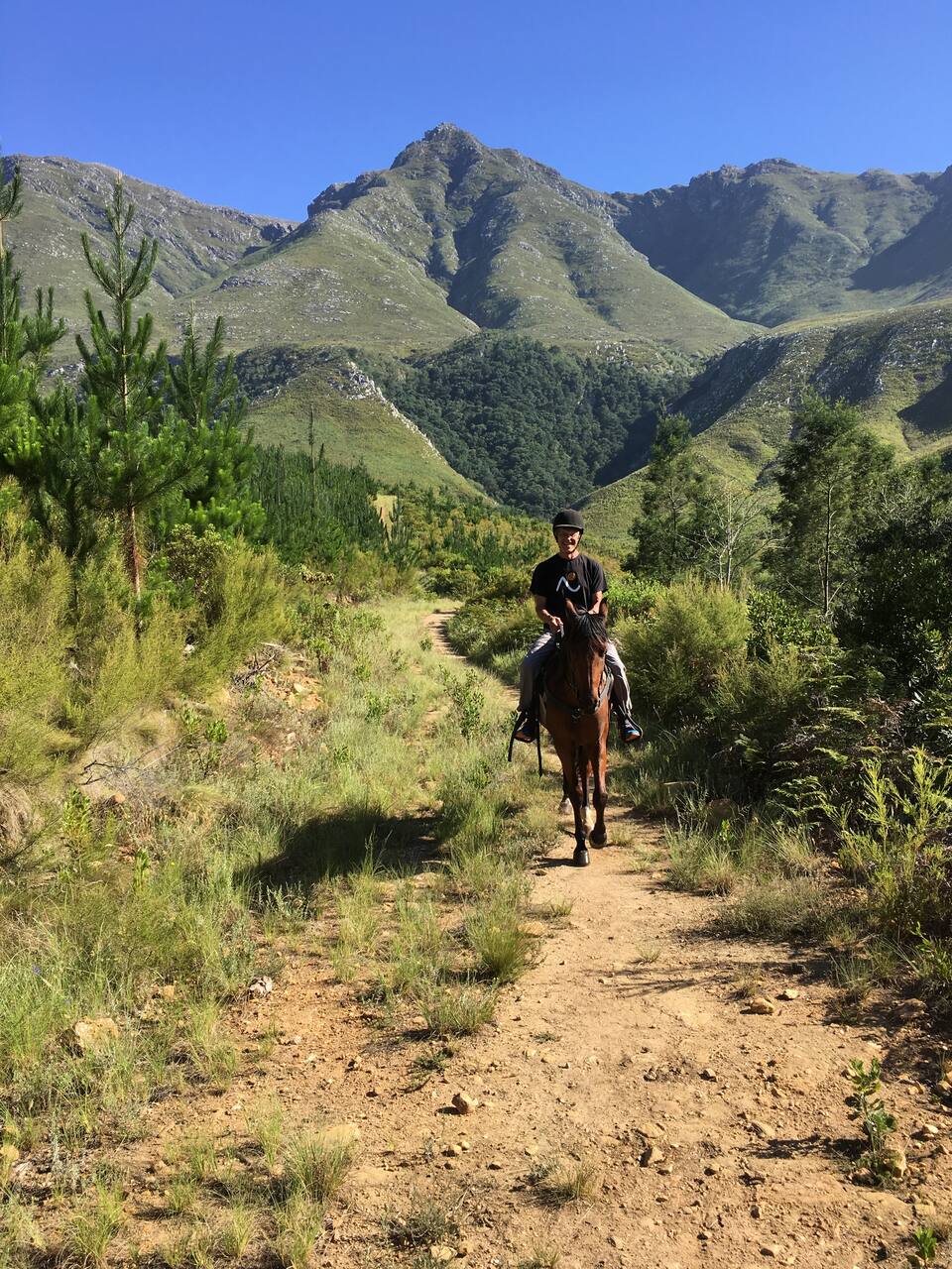 Scenic morning horse ride in the mountain