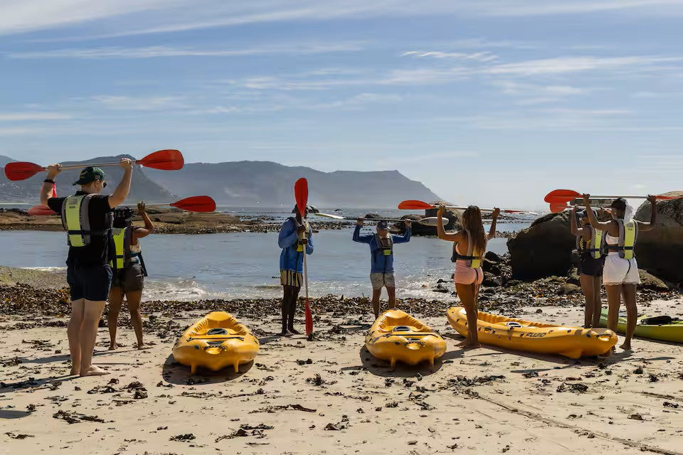 Paddle with the penguins at Boulders Beach