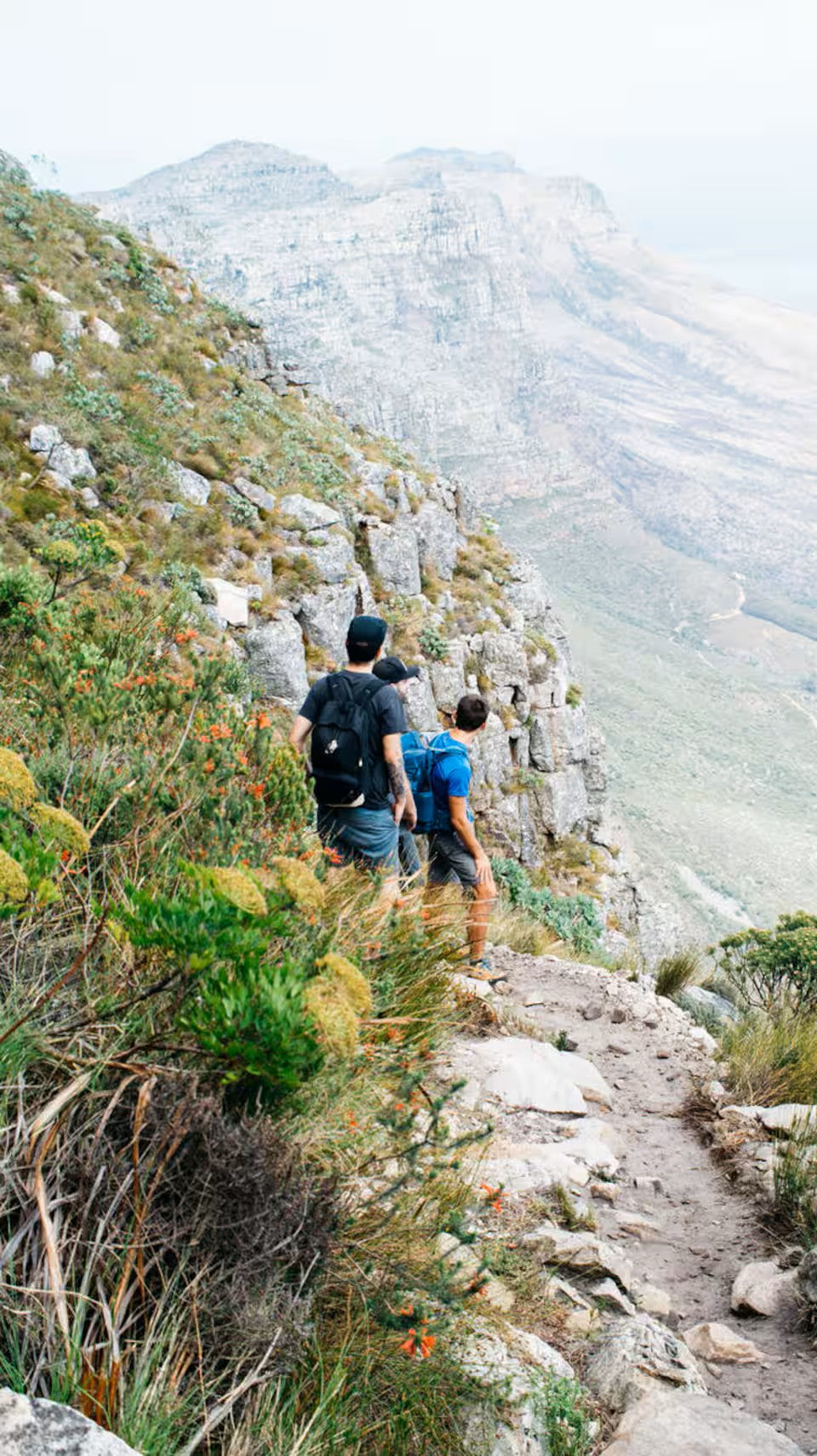 Hike Table Mountain