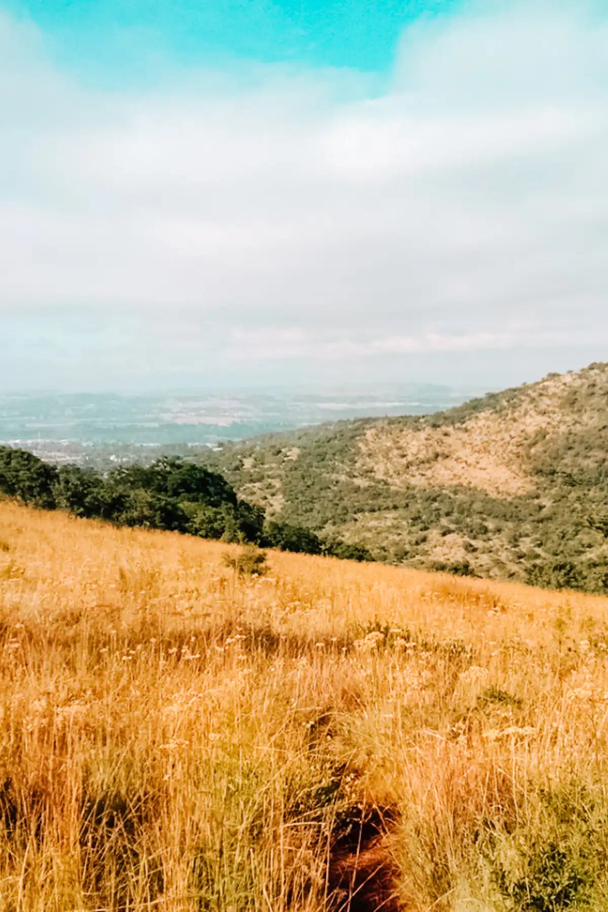 Scenic Klipriviersberg Hike - with a local flair