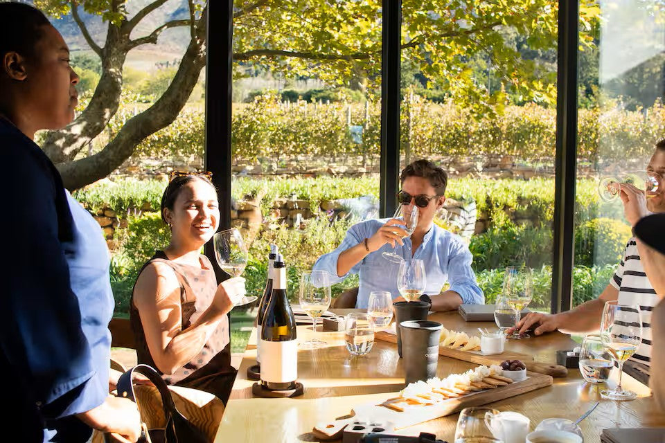 Experience the Stellenbosch Winelands