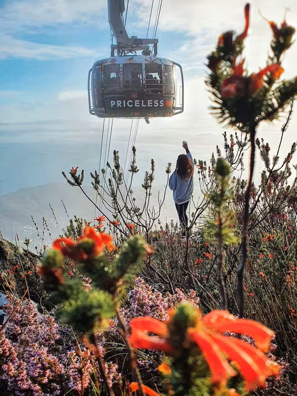 Hike Table Mountain and descend by cable car