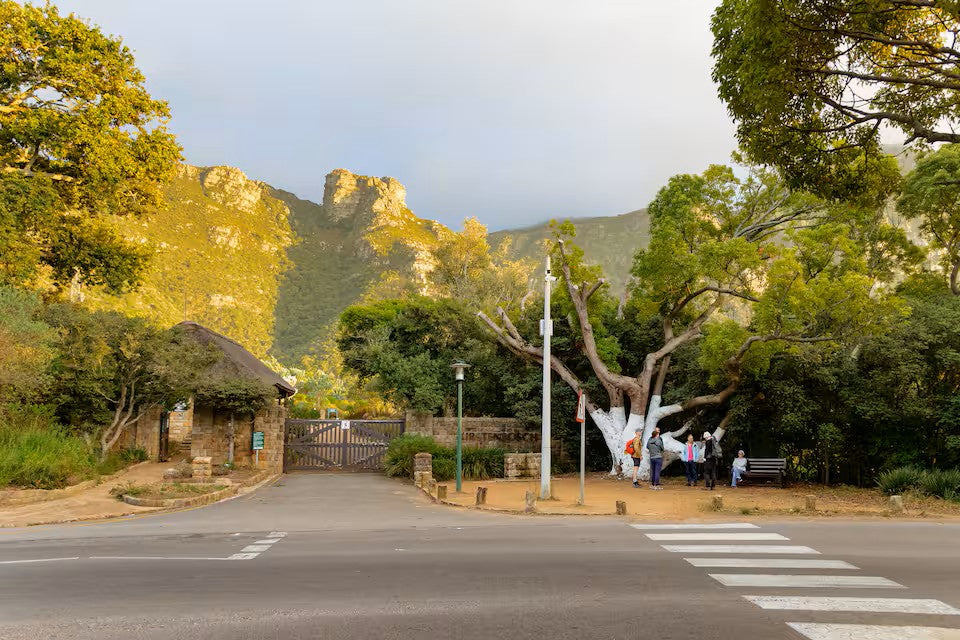 Hike Table Mountain