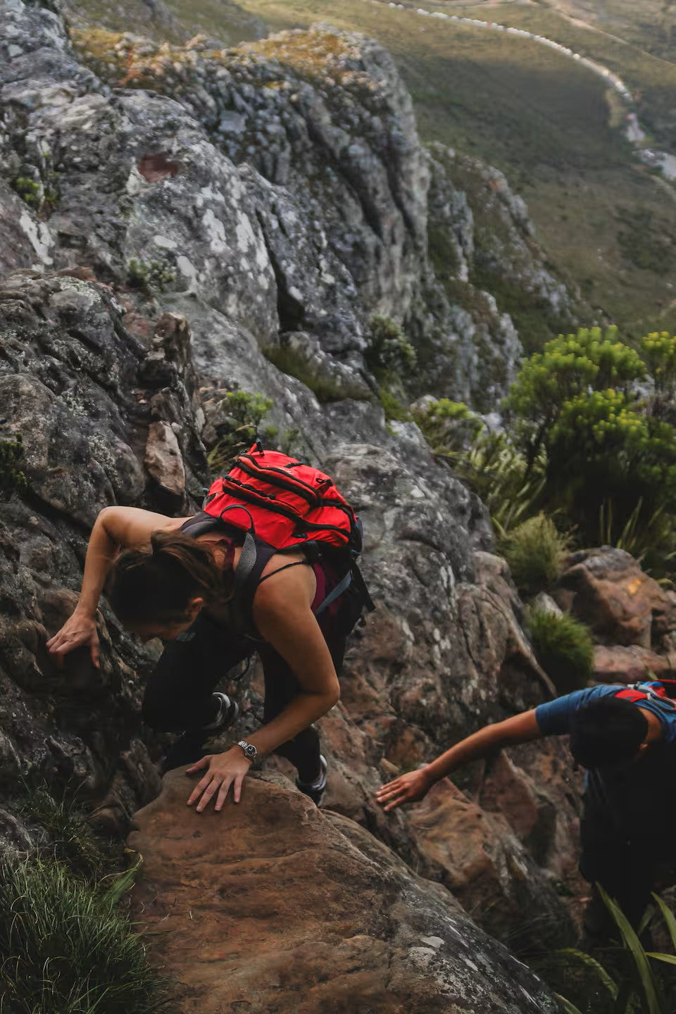 Hike Table Mountain
