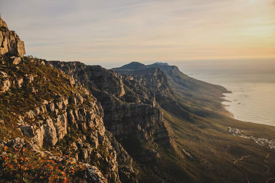 Hike Table Mountain