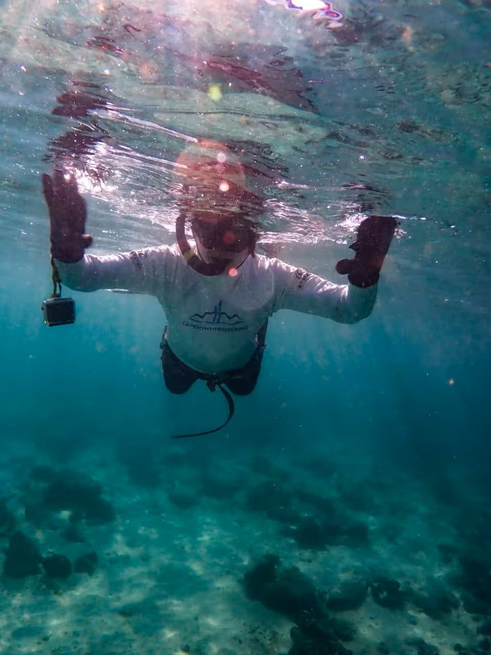 Guided Snorkel through Africas magical Kelp Forest