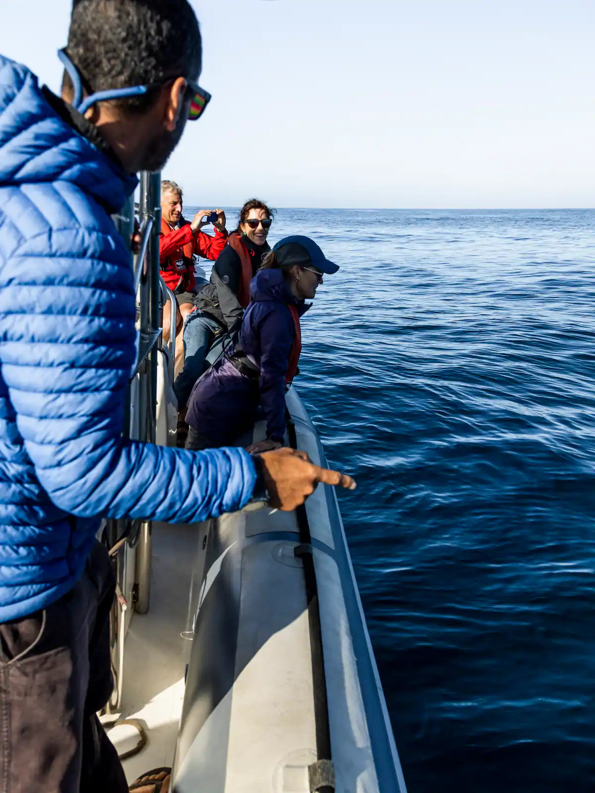 Ocean Wildlife Encounter from a boat