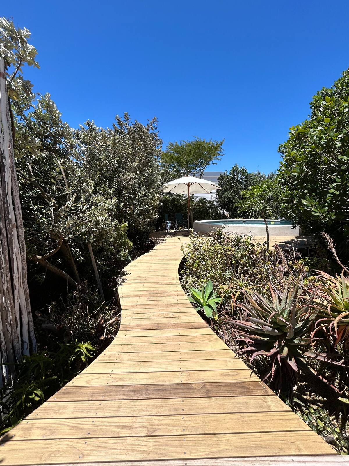 Botanica Elands Bay