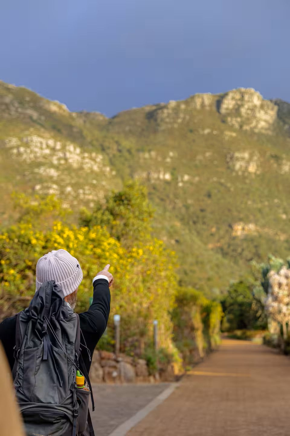 Hike Table Mountain