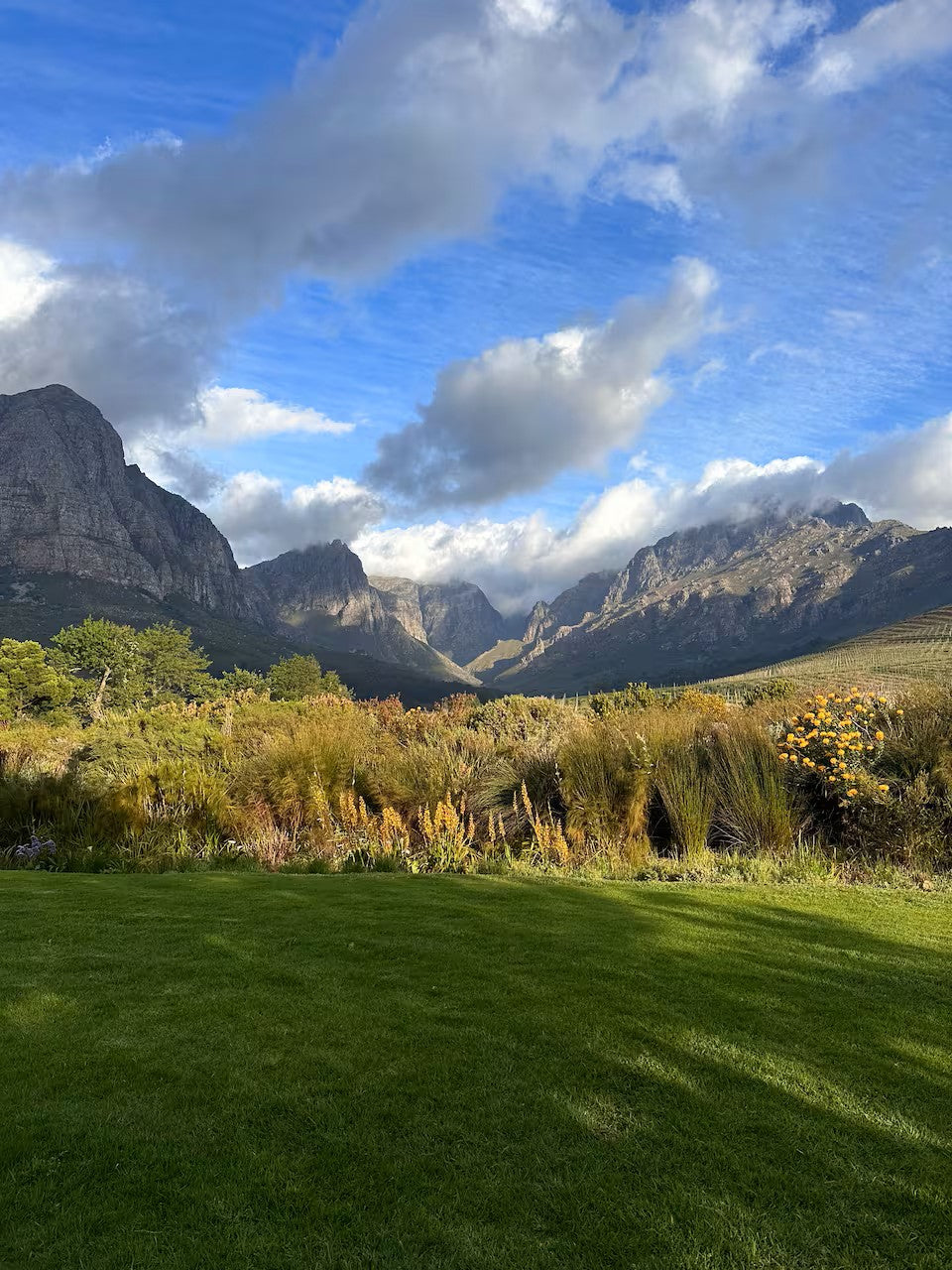 Experience the Stellenbosch Winelands