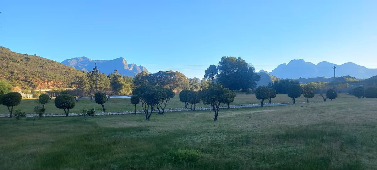 Pure Nature - Near Franschhoek