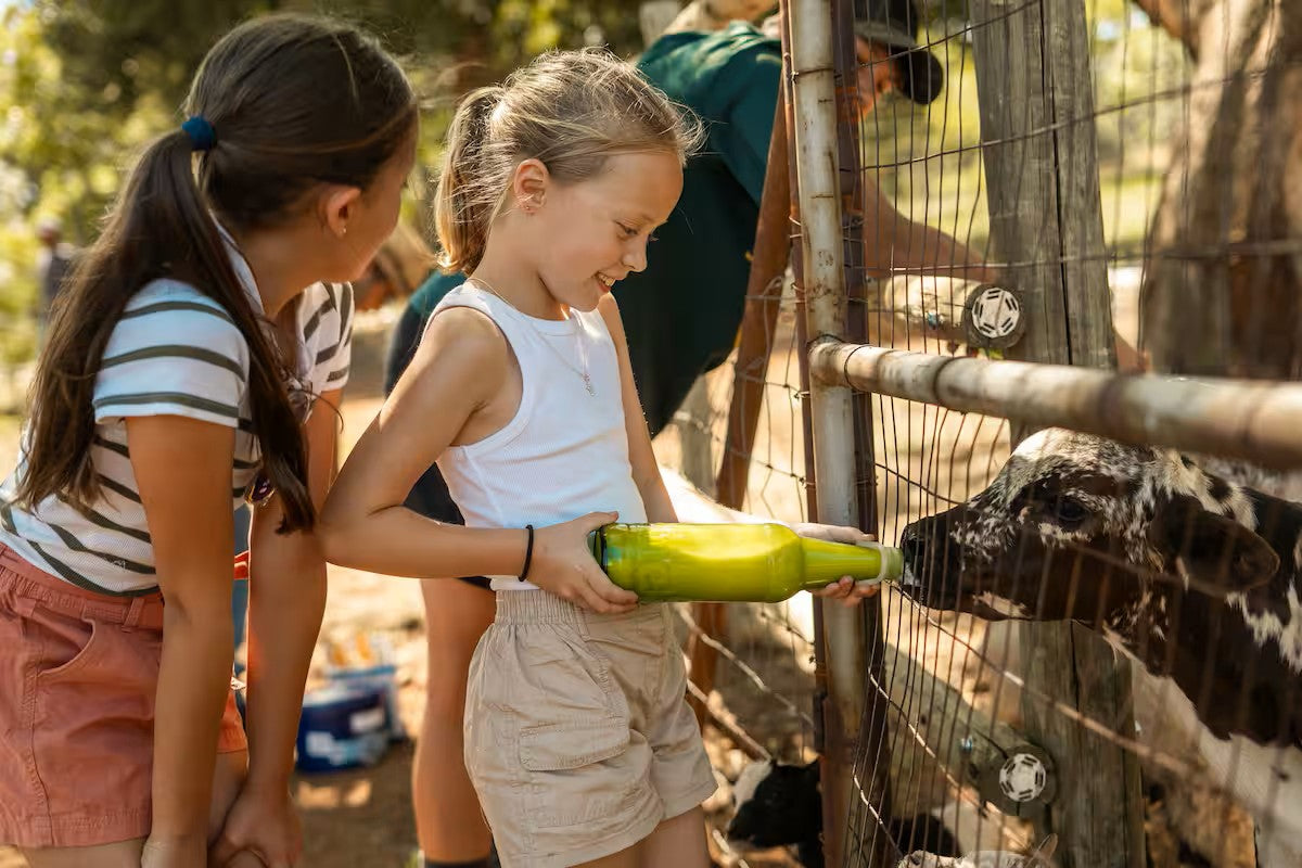 Hike the Magaliesberg at AfriCamps at Milorho