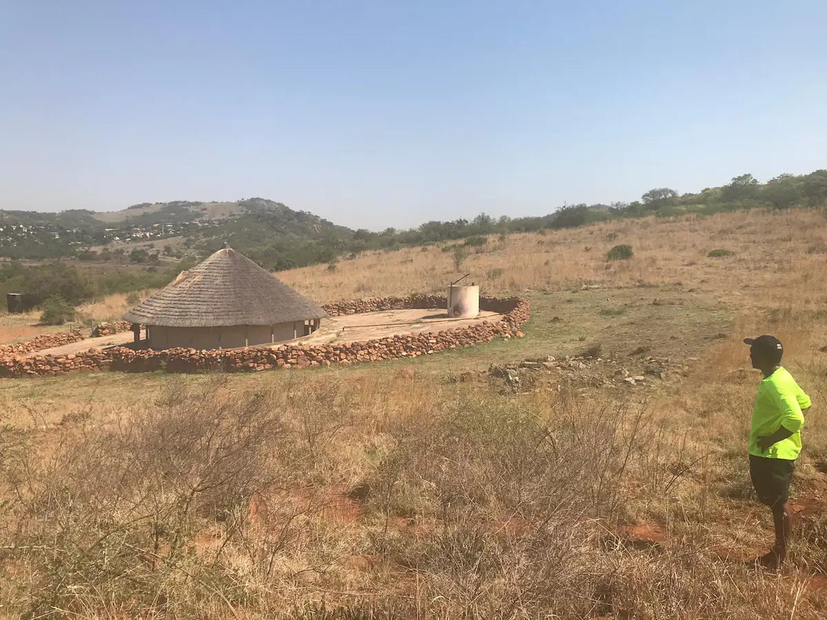 Scenic Klipriviersberg Hike - with a local flair