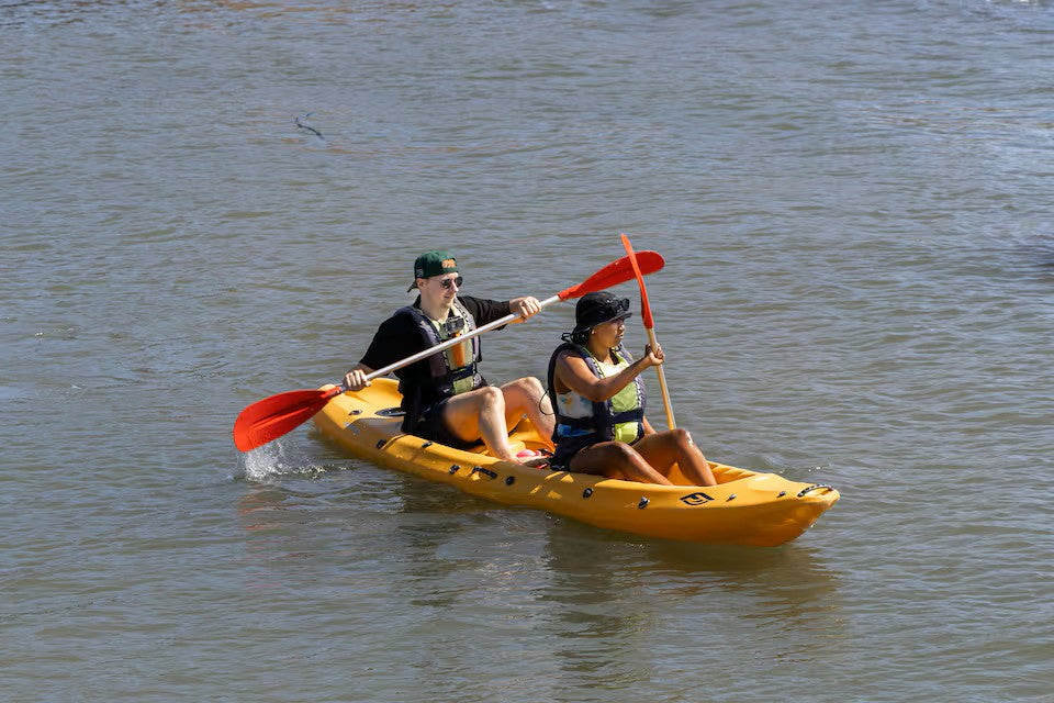Paddle with the penguins at Boulders Beach