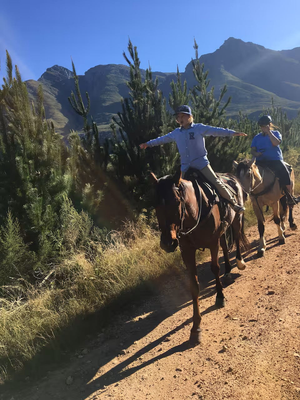 Scenic morning horse ride in the mountain