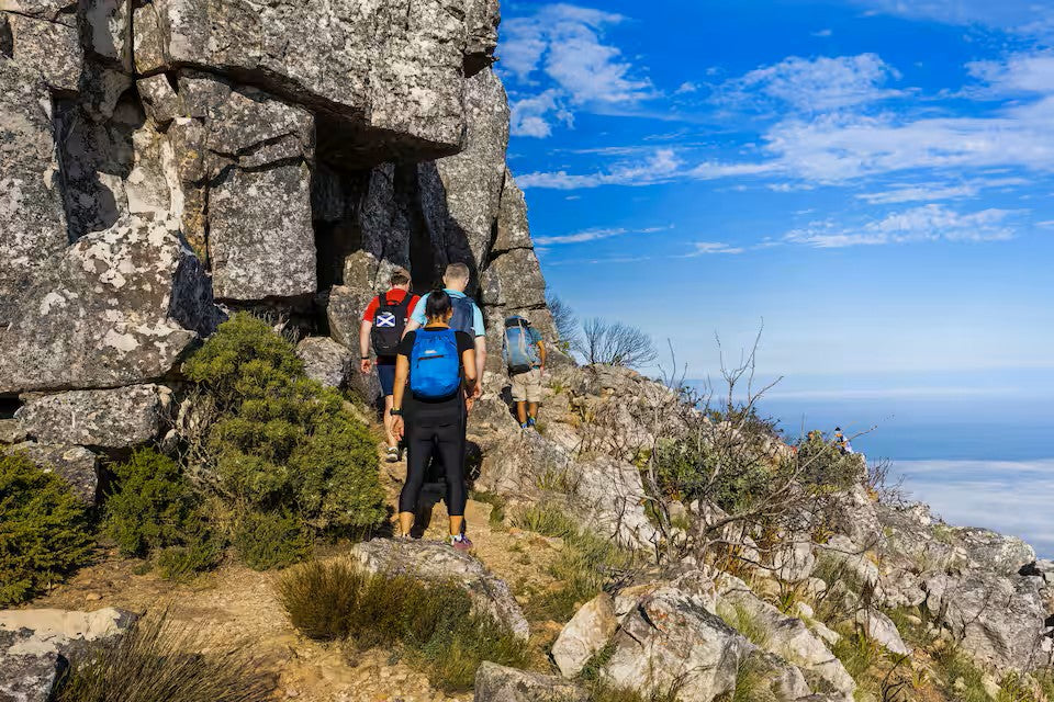 Hike Table Mountain and descend by cable car