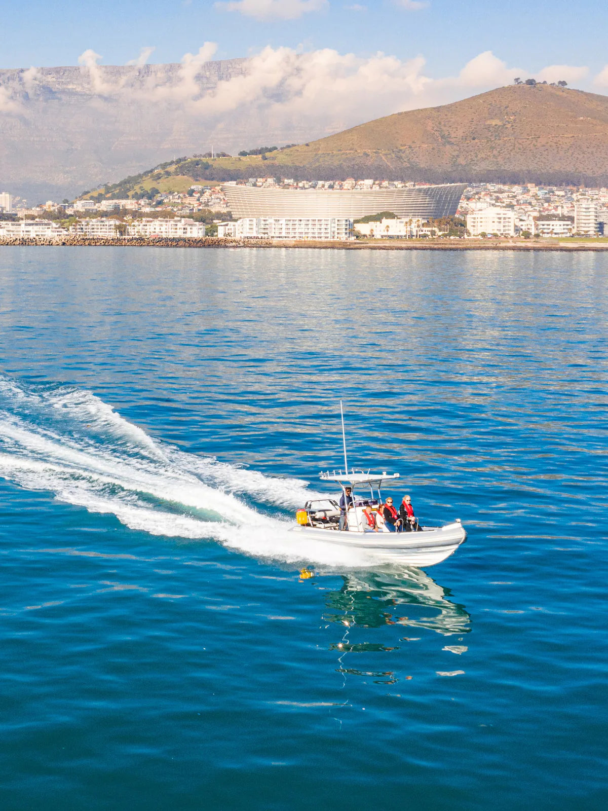 Ocean Wildlife Encounter from a boat