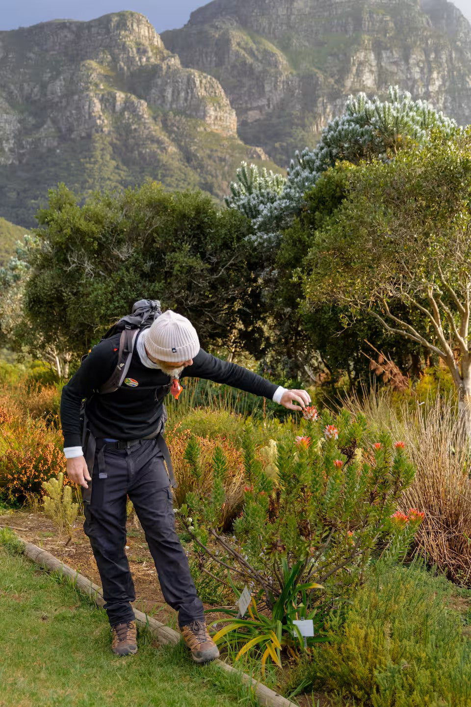 Hike Table Mountain