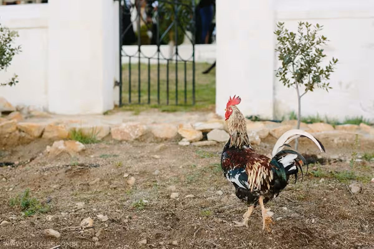 1 Bed Cottage on peaceful farm in Robertson