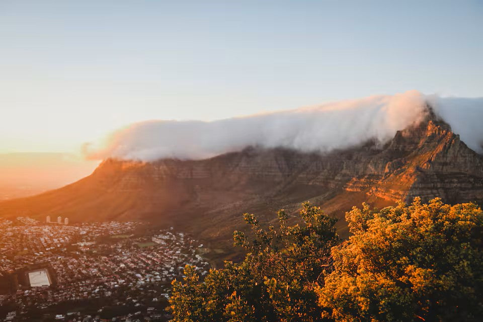 Hike Table Mountain