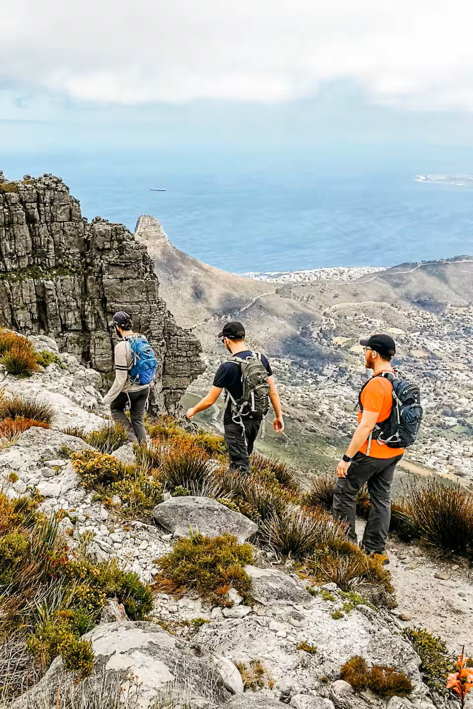 Hike Table Mountain and descend by cable car