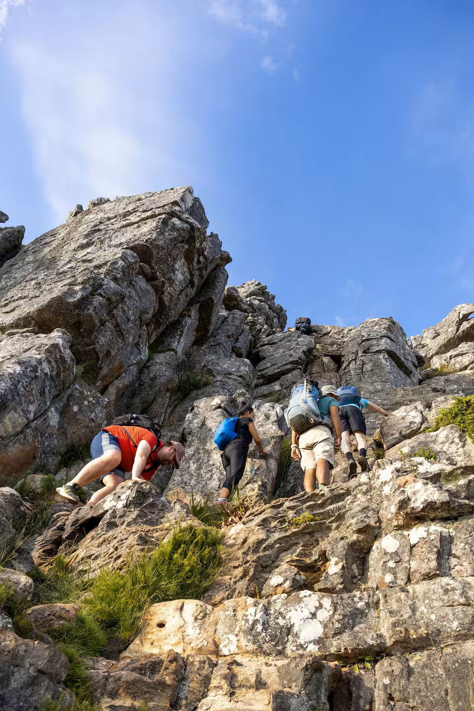 Hike Table Mountain and descend by cable car