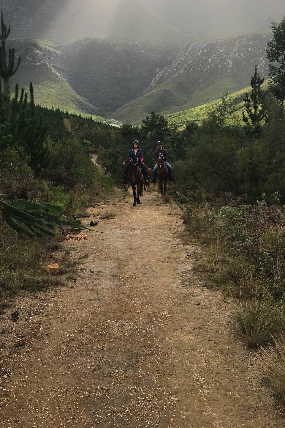 Scenic morning horse ride in the mountain