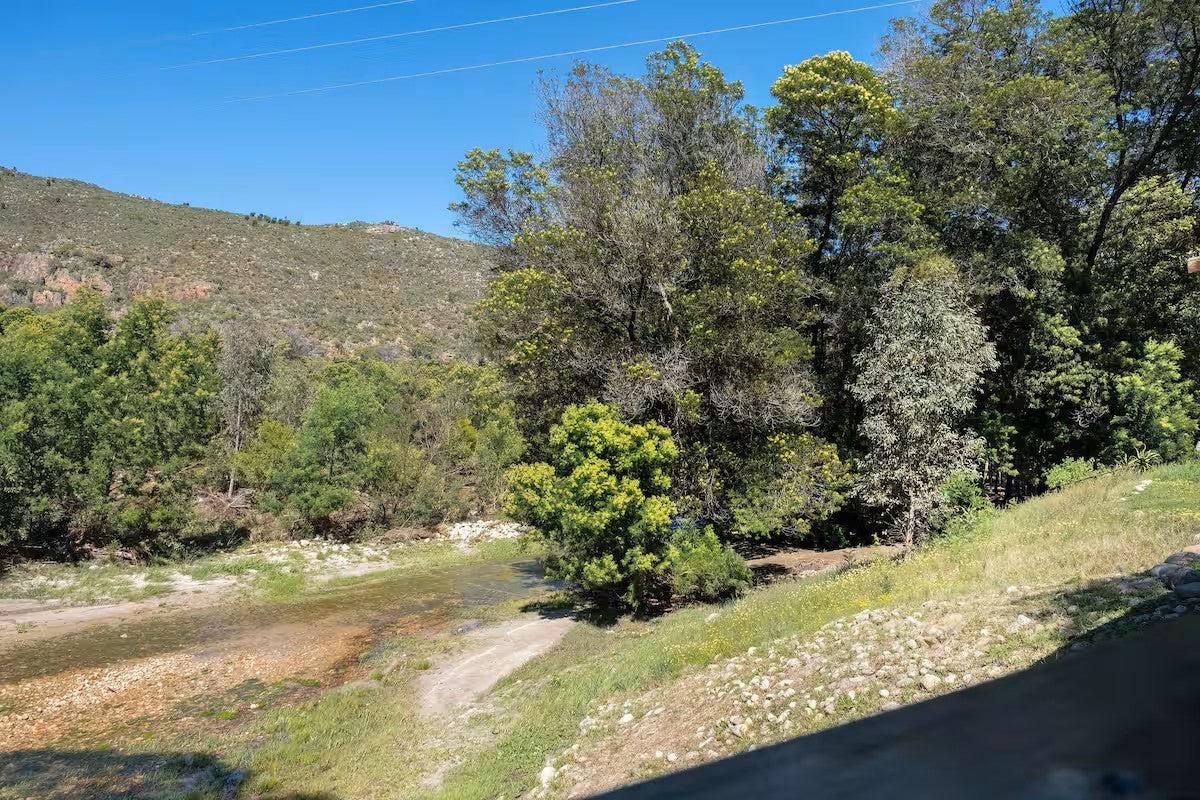Pure Nature - Near Franschhoek