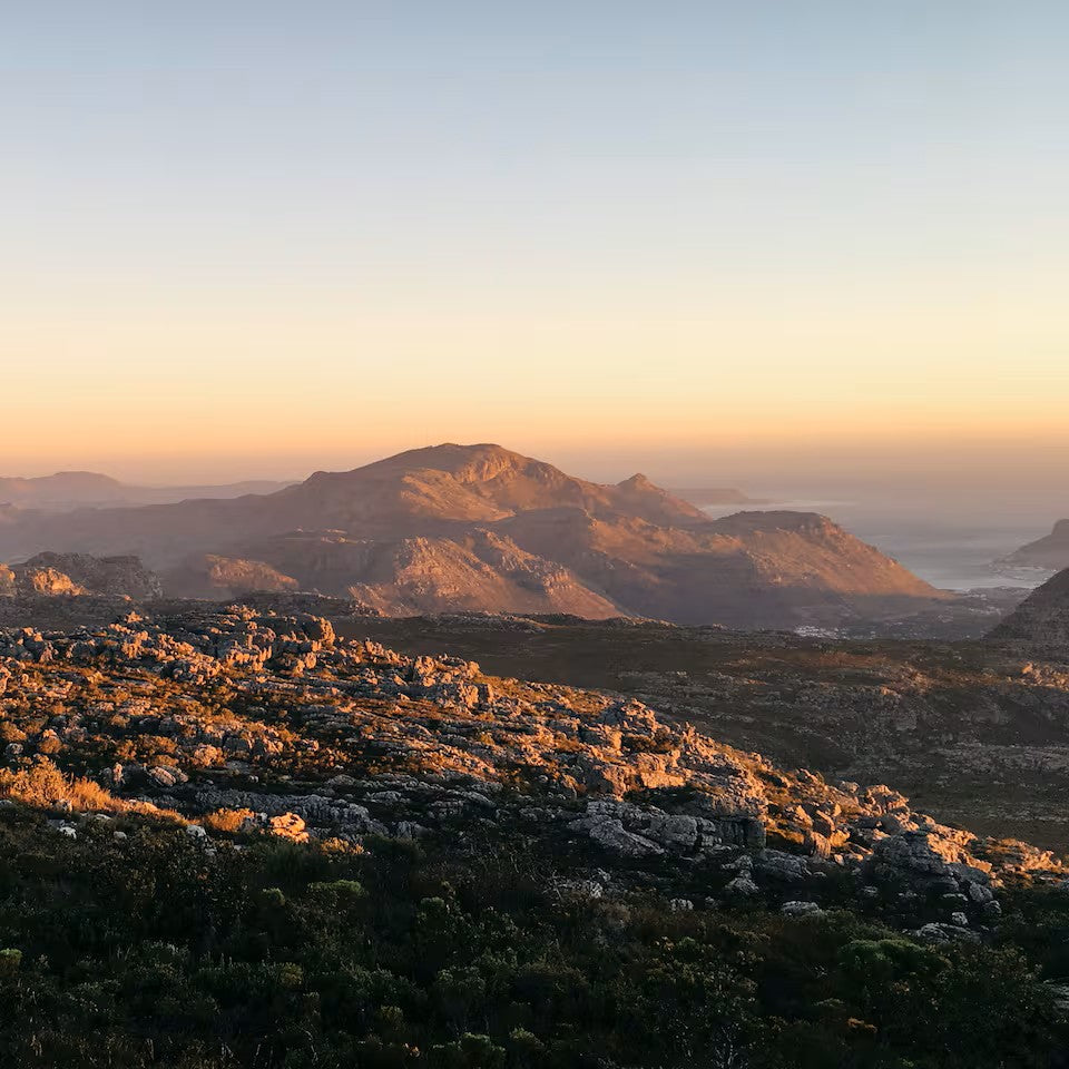 Hike Table Mountain