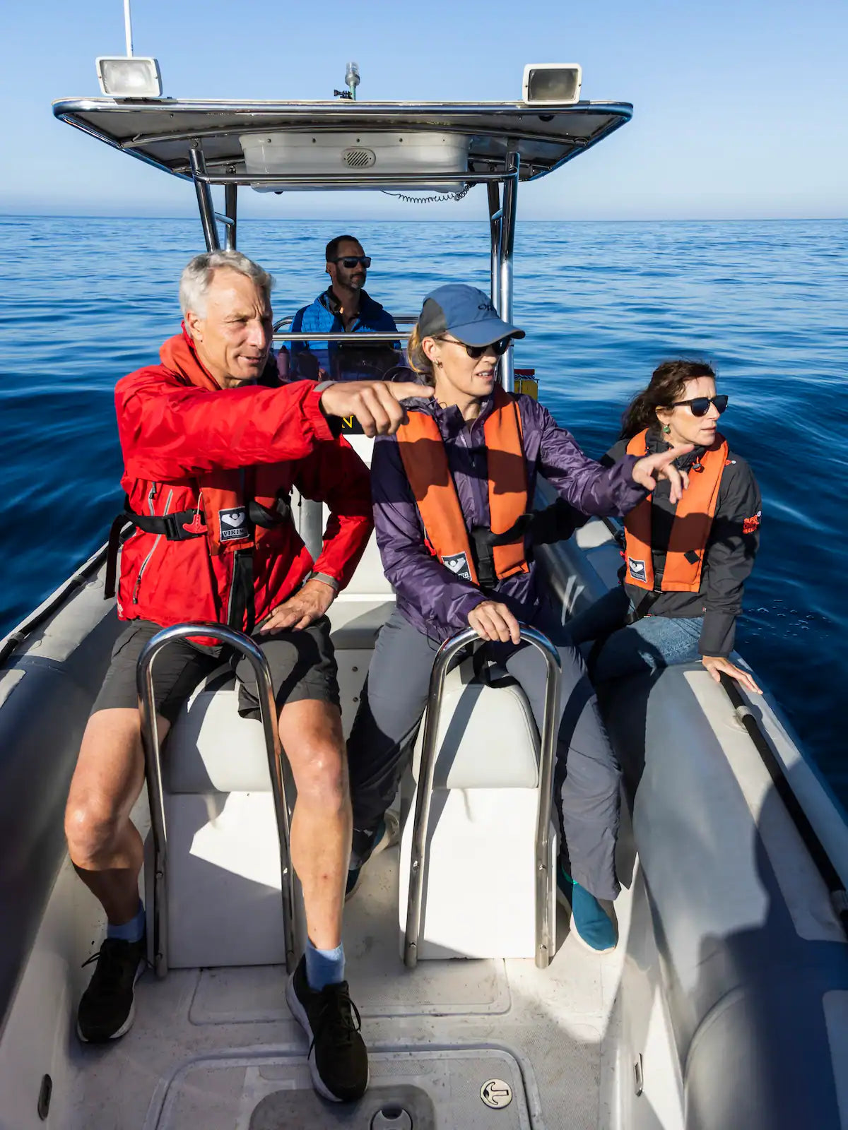 Ocean Wildlife Encounter from a boat