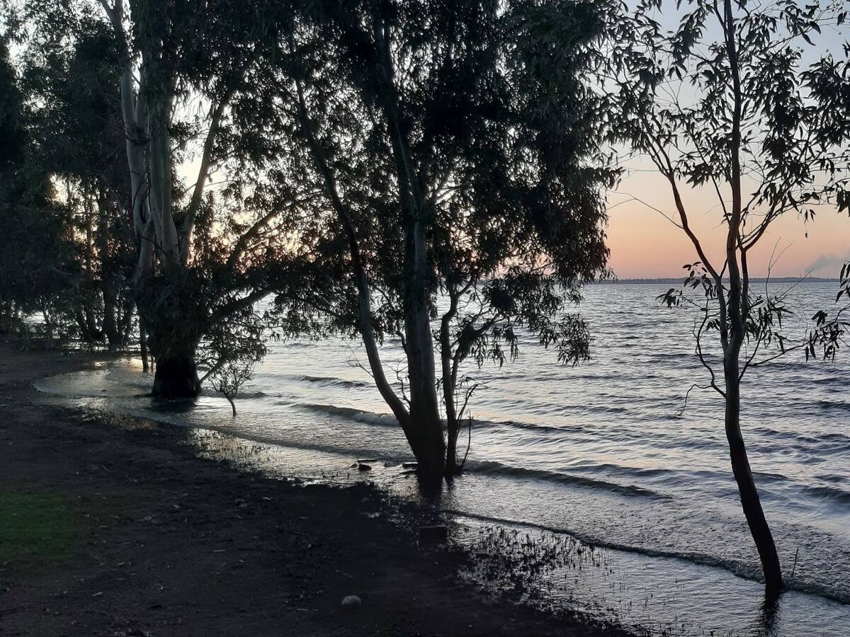 Vaal Dam Getaway