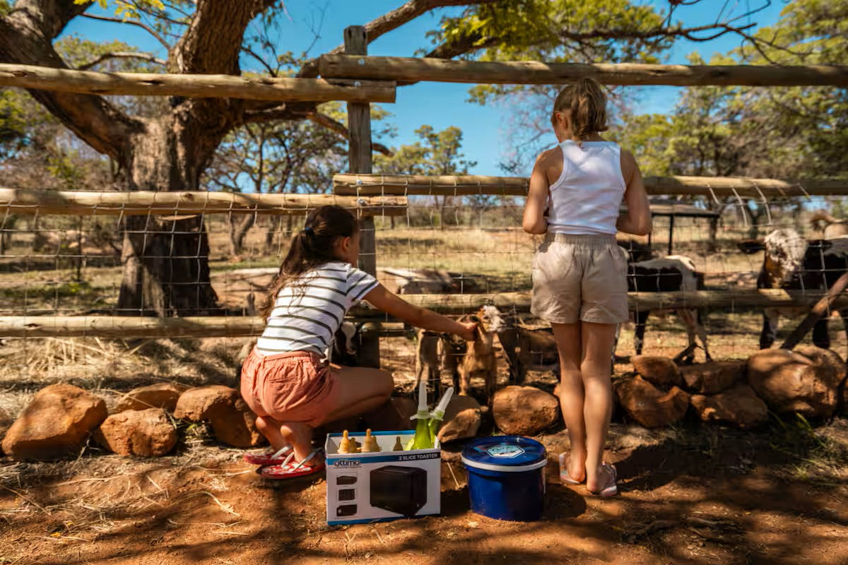 Hike the Magaliesberg at AfriCamps at Milorho