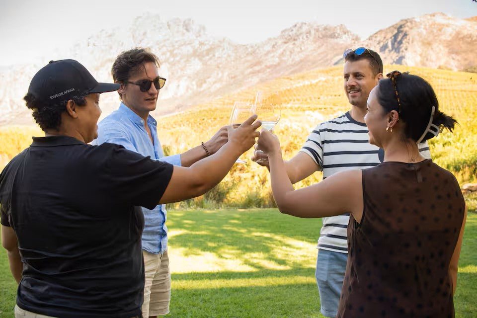 Experience the Stellenbosch Winelands