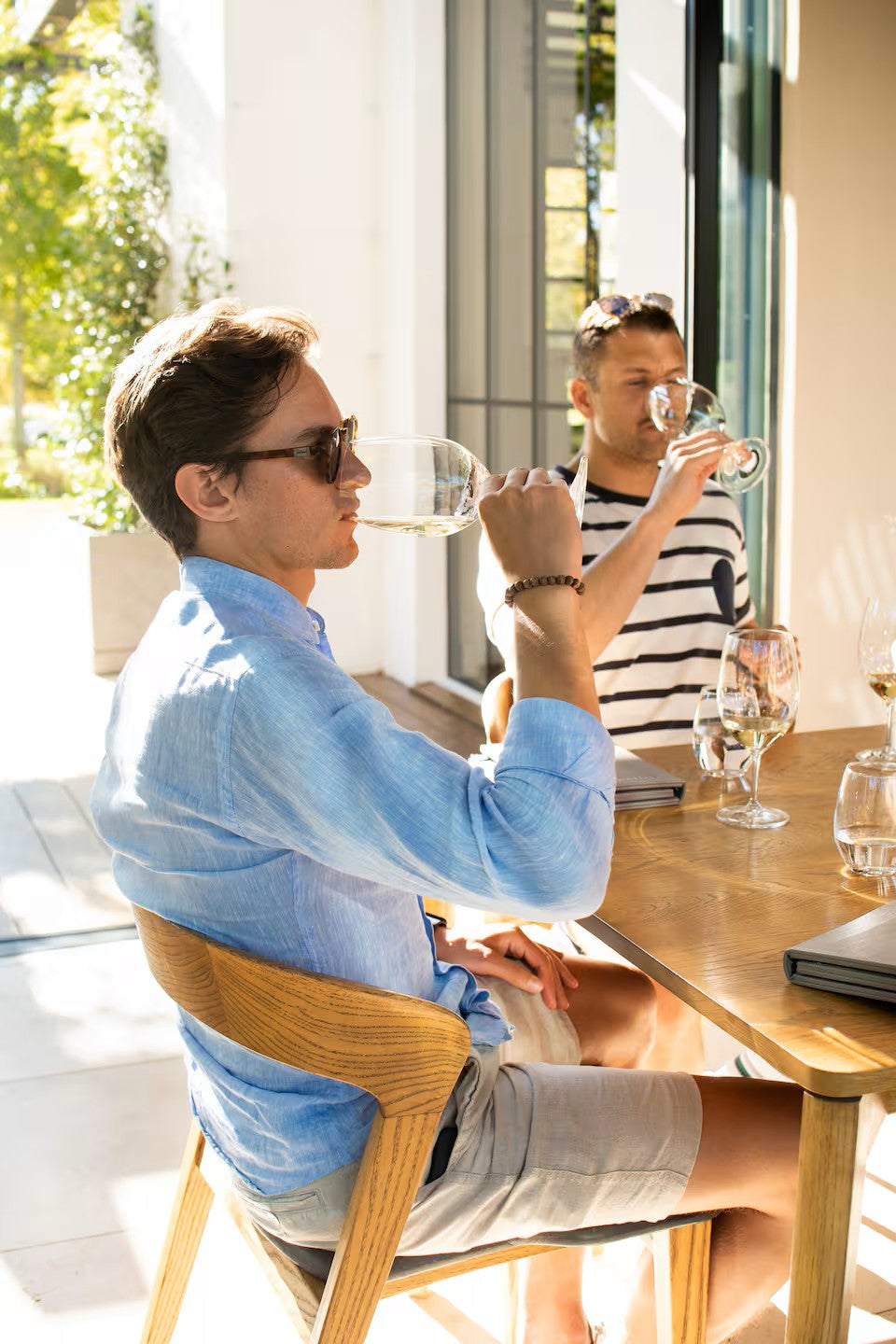Experience the Stellenbosch Winelands