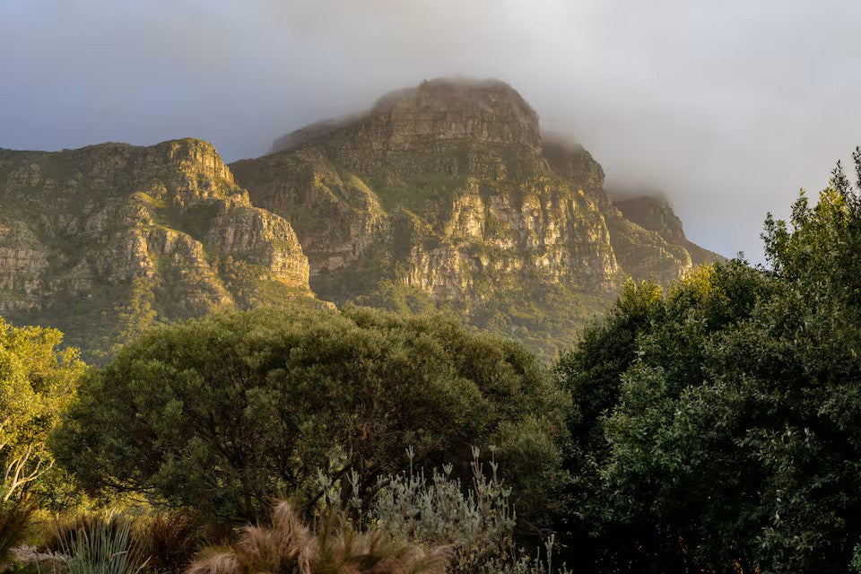 Hike Table Mountain