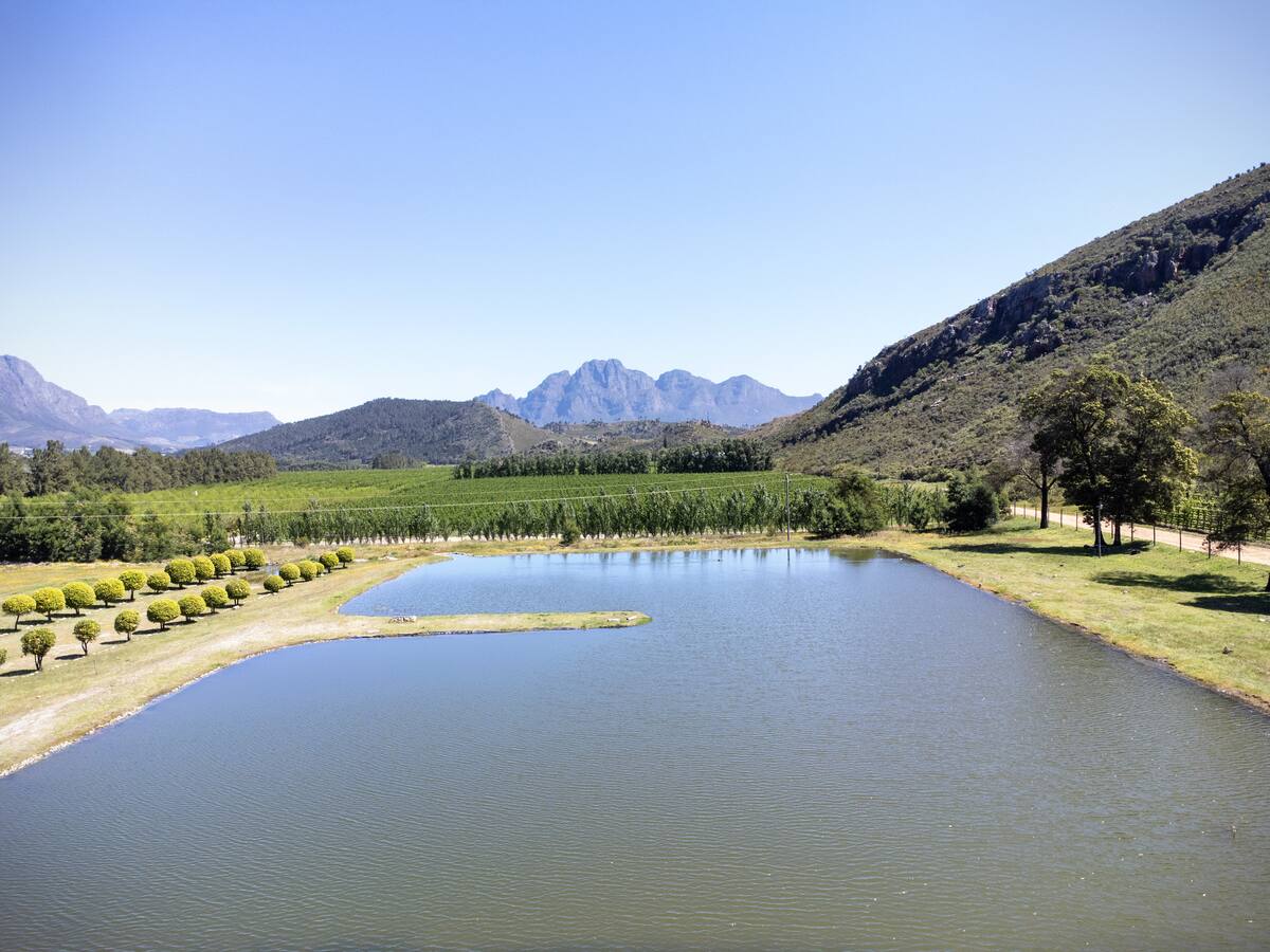 Pure Nature - Near Franschhoek