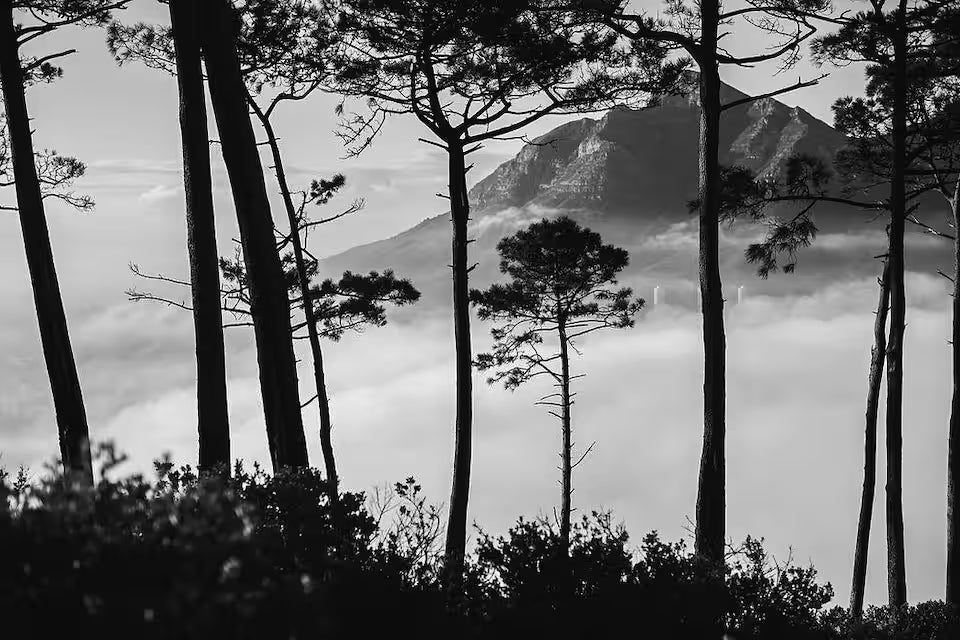 The Timeless Soul - Analog Film Series