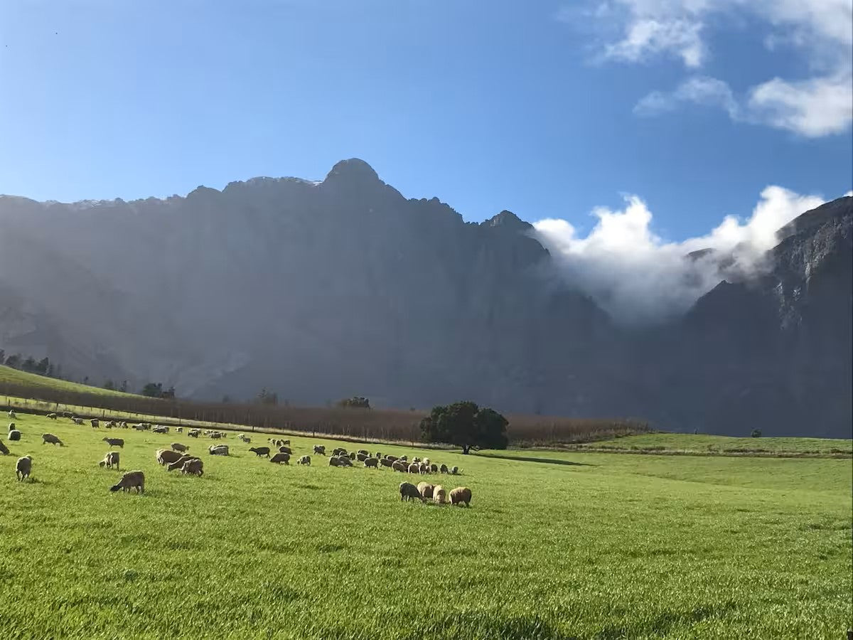 Mosterts Hoek Self Catering Guest House
