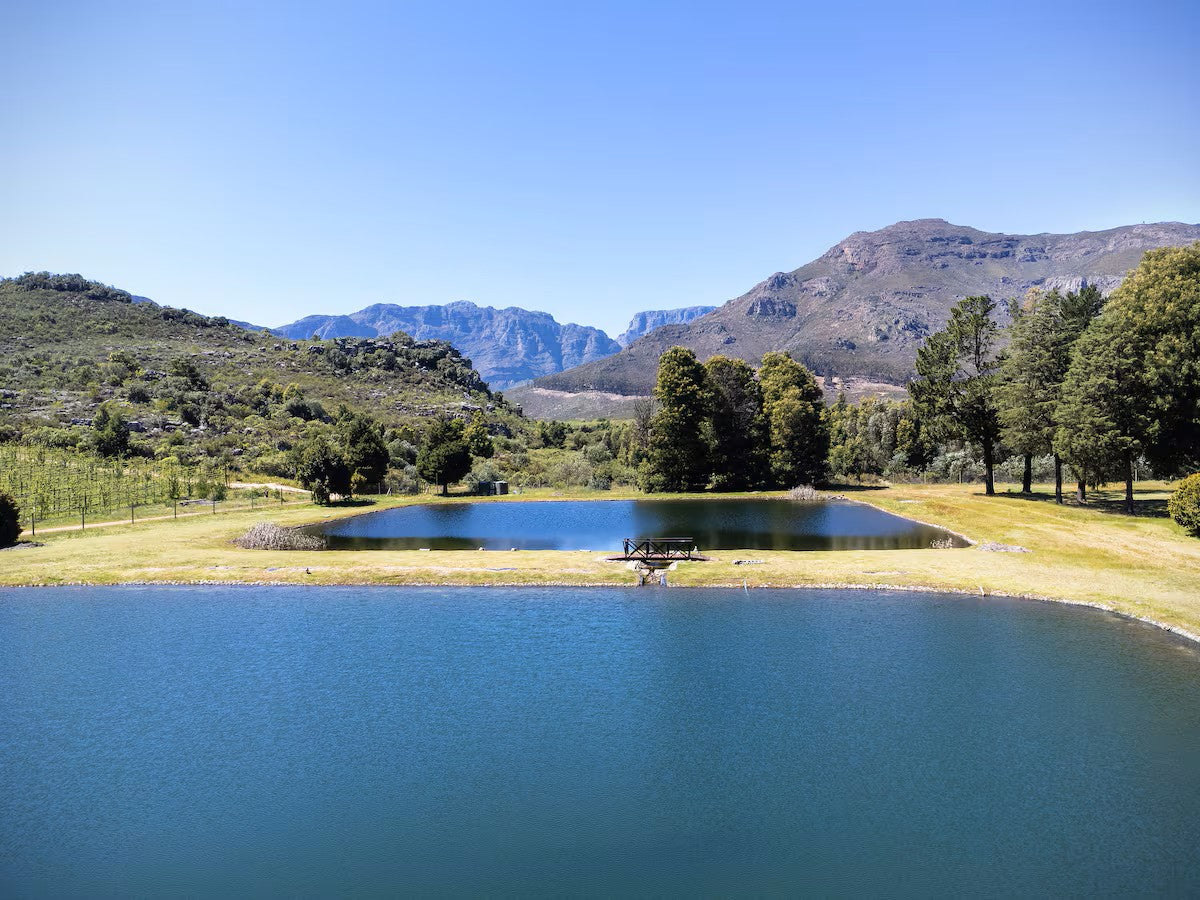 Pure Nature - Near Franschhoek