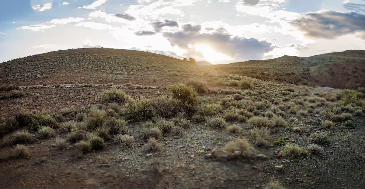 Tamboershoek Karoo Farm Stay near Beaufort West