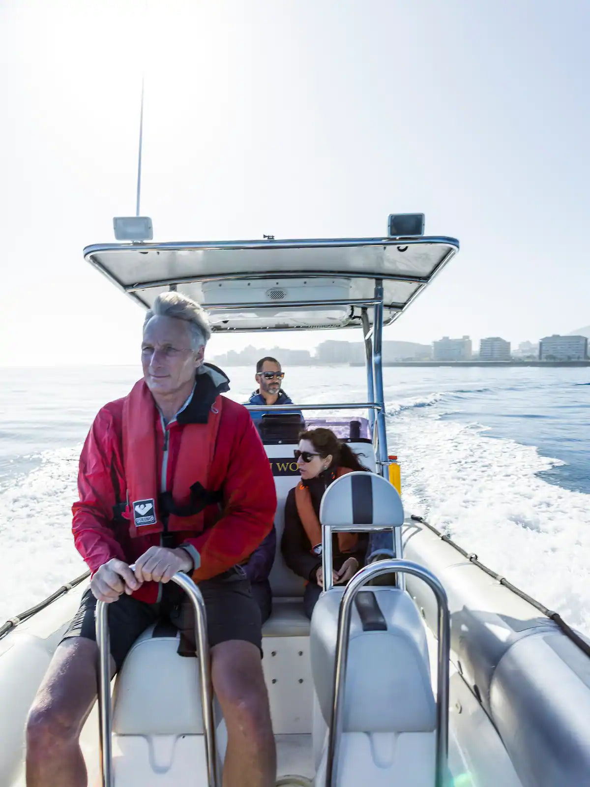Ocean Wildlife Encounter from a boat