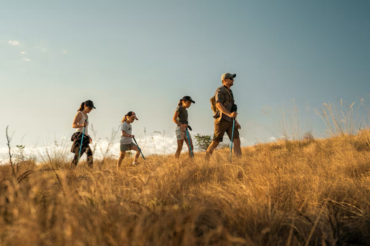 Hike the Magaliesberg at AfriCamps at Milorho