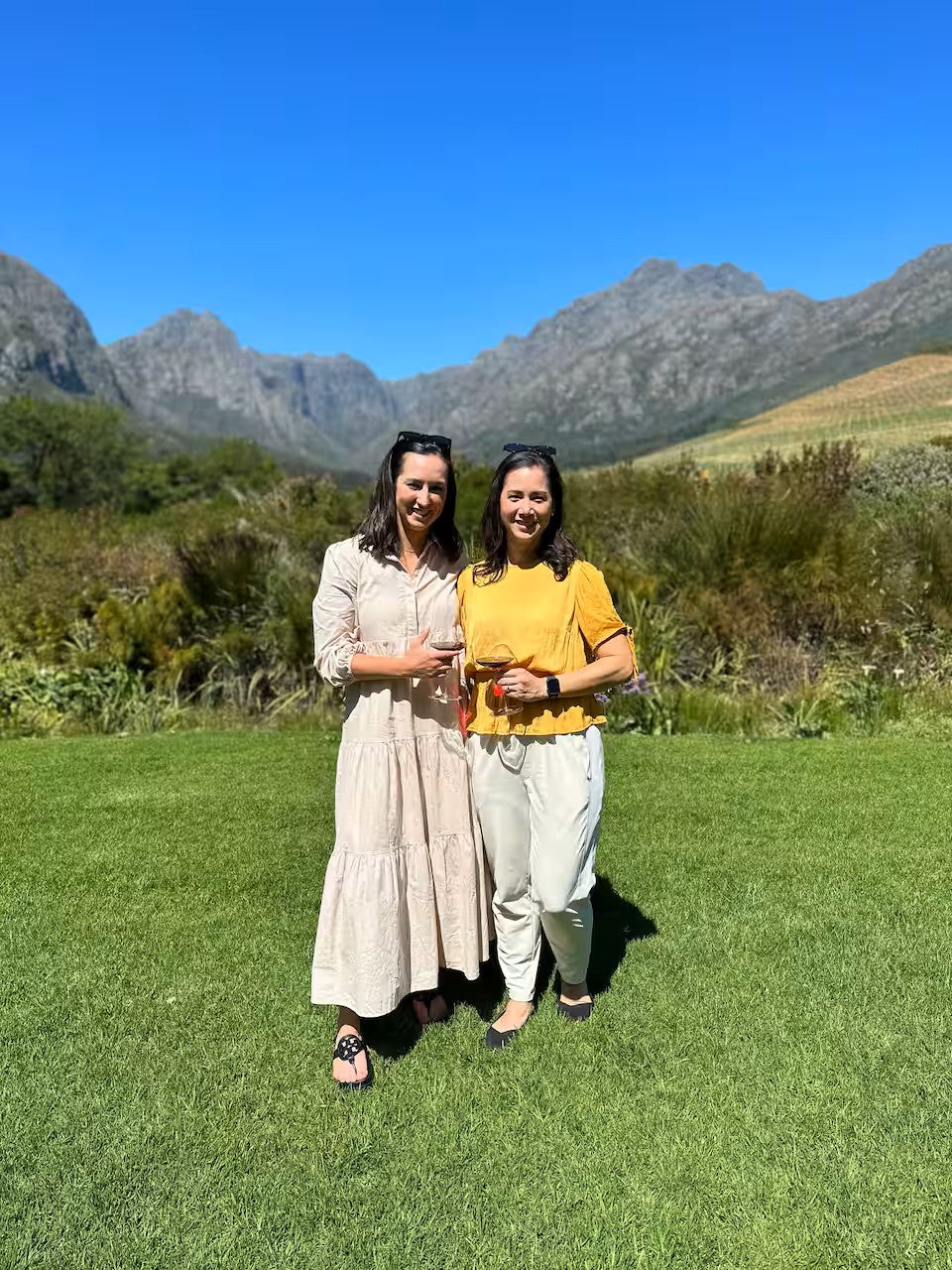 Experience the Stellenbosch Winelands