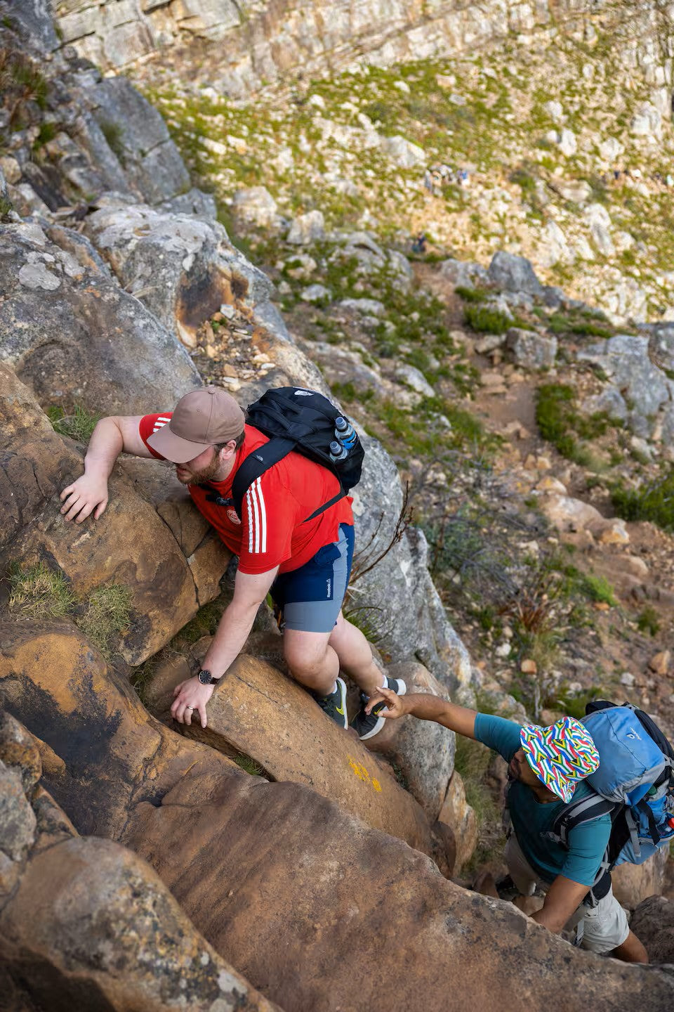 Hike Table Mountain and descend by cable car
