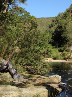 Join a guided walk through Wilderness Forest