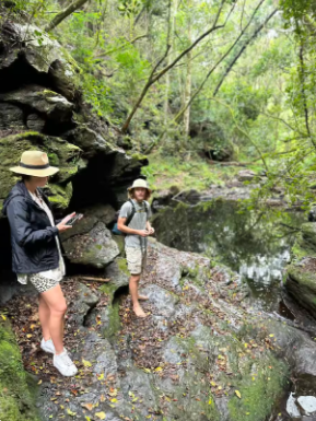 Join a guided walk through Wilderness Forest