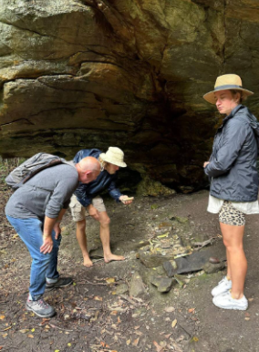 Join a guided walk through Wilderness Forest
